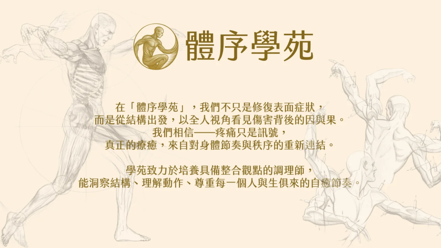 體序學苑｜AI商匯網 品牌中心收錄案例